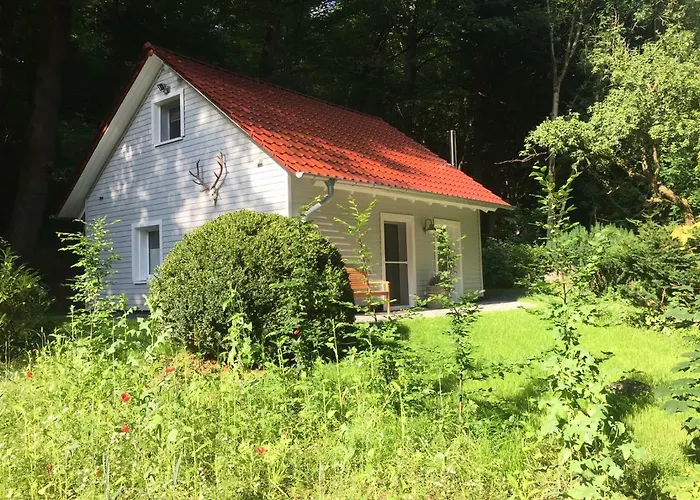 das Waldhaus