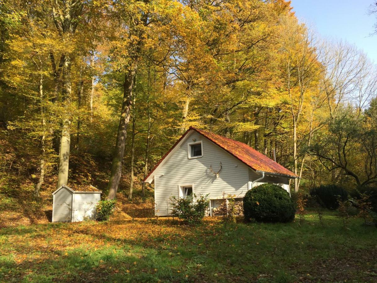 Waldhaus * Bad Lauterberg im Harz