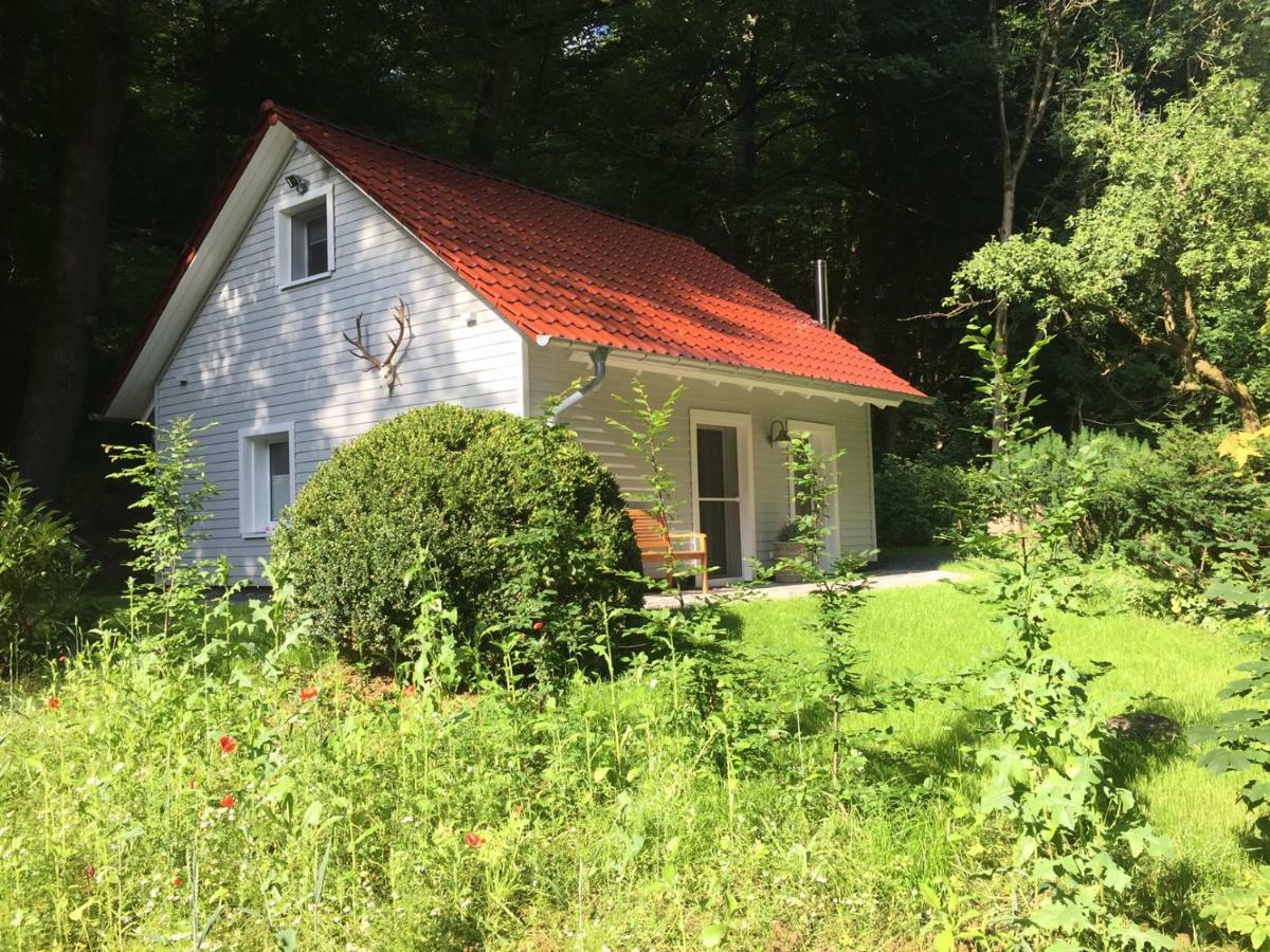 Waldhaus Ferienhaus Bad Lauterberg im Harz